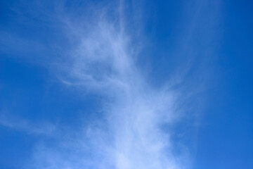 A thin layer of white, translucent Cirrus clouds forming delicate, fibrous patterns against a backdrop of a clear blue sky.