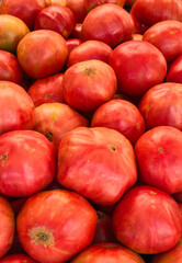 Big red tomatoes at the market