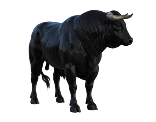 3D realistic render of a black bull in a dynamic upright stance glossy fur well def