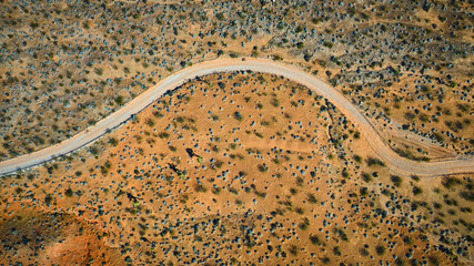 Obraz premium Aerial Winding Desert Road and Vegetation Pattern in Nevada Top Down