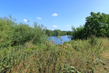 Colourful view over the Lake at Leybourne in Mid Ken