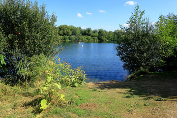 A scenic view of the lake at Leybourne surrounded by woodland