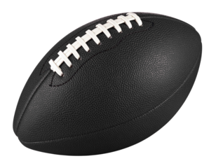 Premium Game Ball Showcase (2)