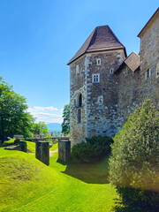 View of a castle with bridge, green lawn, trees and clear blue sky