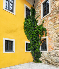 Outdoor corner of a building with yellow wall and four windows in black frames