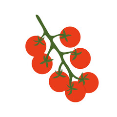 Bunch of fresh cherry tomatoes on a vine. Healthy food designs, gardening themes, or natural product concepts. Flat vector style, isolated on white