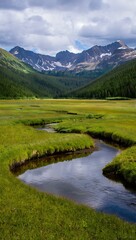 Serene Mountain Valley with Winding Stream and Wildflowers