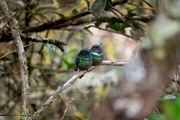 Amor por el entorno © Jasbleidy