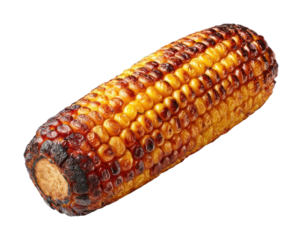 PNG Roasted corn cob food delicious barbecue.