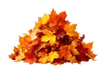 PNG Autumn leaves pile leaf background decoration.