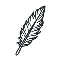 Fototapeta premium Elegant black feather design for artistic projects and crafts. Vector illustration