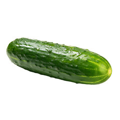A fresh cucumber with water droplets sits against a black backdrop highlighting its vibrant green skin and crisp texture