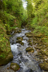 Obraz premium Kamacnik river canyon at Gorski kotar, Croatia 