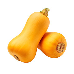 Two butternut squashes with smooth light orange skin creating a visually striking contrast