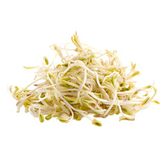 Fresh bean sprouts: crunchy nutritious addition to stir-fries salads and more A delightful veggie for your healthy cooking adventures!