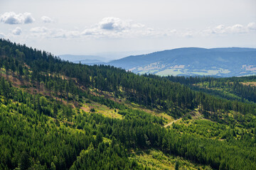 Obraz premium View of the Jesenik mountains, Lower Morava, Czech republic