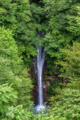 新緑まぶしい夏の駒止の滝
