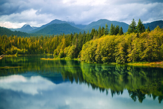 Still Water Reflections of Forested Shoreline and Snow-Capped Peaks at Baker Lake, Washington