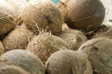 Close-up of whole coconuts with rough fibrous husks.