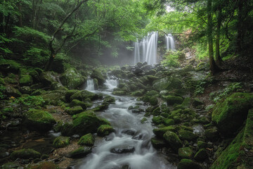 Obraz premium 新緑の木の俣渓谷 