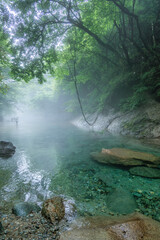 新緑の木の俣渓谷
