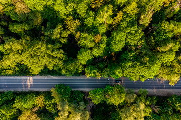 Asphalt road going through forest area, aerial view