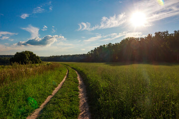 Field dirt road going into the distance