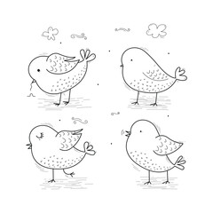 Hand Drawn Bird Set Vector Design.