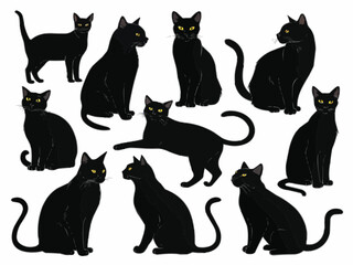 Fototapeta premium A collection of eleven black cats in various poses with yellow eyes on a white background image art
