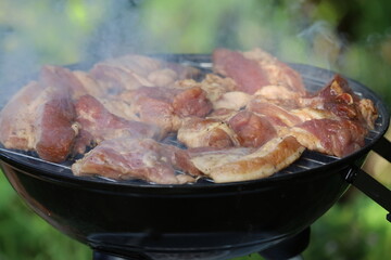 Grilled barbecue meat skewers cooking on fire