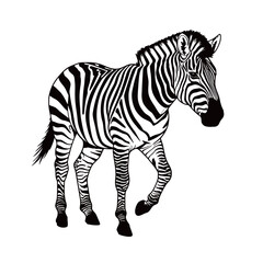 black and white silhouette of a zebra against a white background