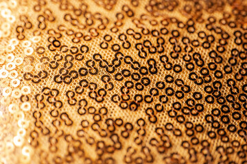 Gold Sequins Fabric Texture. Close-Up of Gold Sequin Fabric. sequins wallpaper