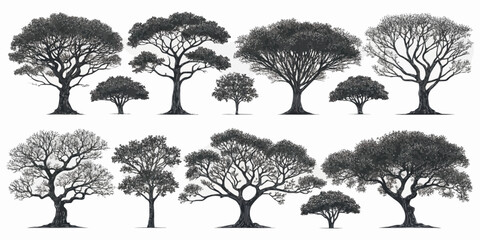 Fototapeta premium Illustration of ten different tree silhouettes with varying branch structures and foliage density