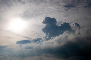 clouds in the sky shaped like animals
