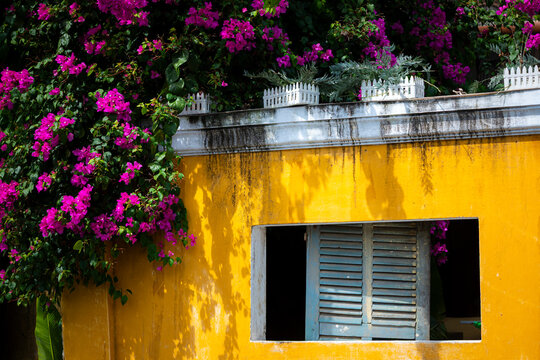 Fototapeta window with flowers in the city of Hội An, Vietnam
