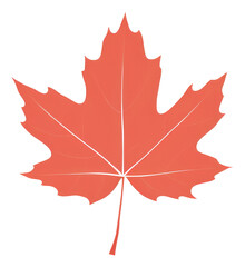 Fototapeta premium PNG Illustration of maple leaf plant autumn symbol.
