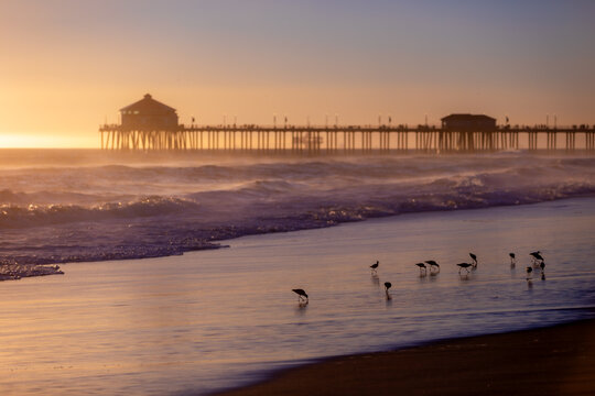 sunset on the beach in Los Angeles
