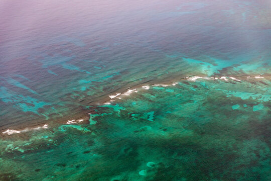 coral reef and sea