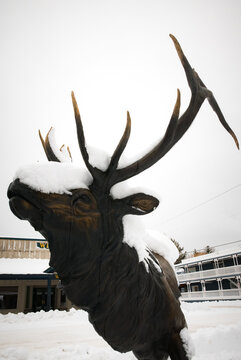 Snow covered statue of a deer in Jackson Hole, Wyoming