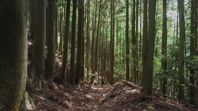 熊野古道・紀伊路「鹿ヶ瀬峠から沓掛王子への石畳道」和歌山県日高町 Stone-Paved Path from Shishigase Pass to Kutsukake Ōji &ndash; Kumano Kodo Kii Route, Hidaka Town, Wakayama