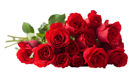 Obraz premium bunch of roses