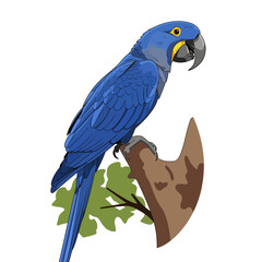 Obraz premium A striking 3D vector illustration of a Hyacinth Macaw perched on a treetop. Modern, minimalist design with vibrant colors highlights this magnificent bird’s charm.
