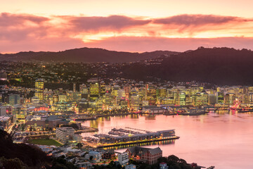 Wellington city high-rise buildings and harbour from Mount Victoria at sunset.