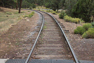 Fototapeta premium railroad tracks in the forest
