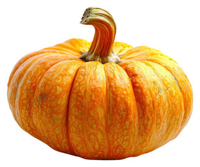 Obraz premium PNG Pumpkin vegetable squash plant.