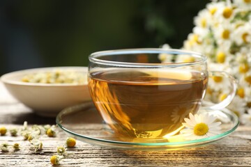 Aromatic tea in glass cup and chamomile flowers on wooden table, closeup