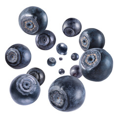 Fresh ripe blueberries swirling in air against white background