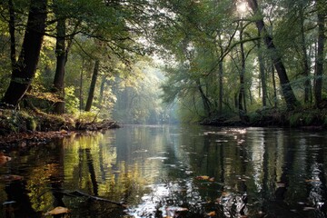 Obraz premium Peaceful river flowing through a serene autumn forest