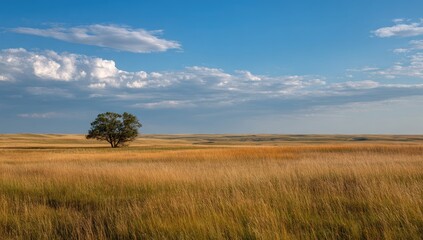 Fototapeta premium Vast Prairie Landscape