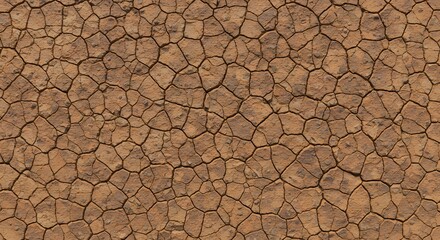 Dry Cracked Earth Texture Arid Land Surface Background
